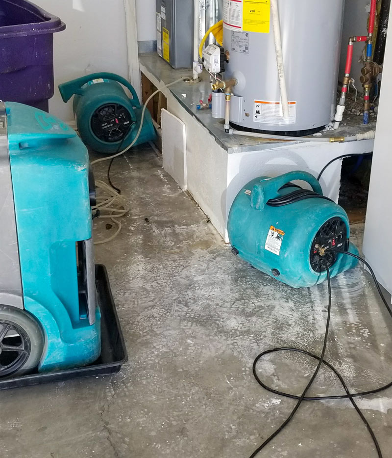 Immediate Mitigation to Prevent Further Damage