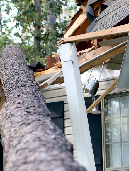 Hurricane Katrina Damage 01 A tree is blown over to hit a house during hurricane Katrina.